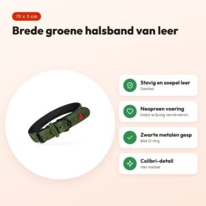 Zolux Expert halsband hond premium leer/neopreen groen 70 x 3 cm – voordelen