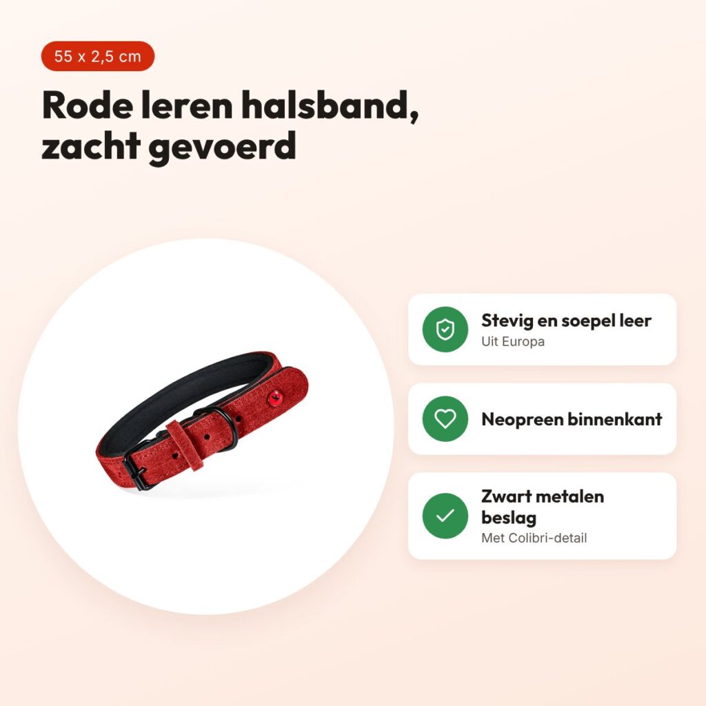 Zolux Expert halsband hond premium leer/neopreen rood 55 x 2,5 cm – voordelen