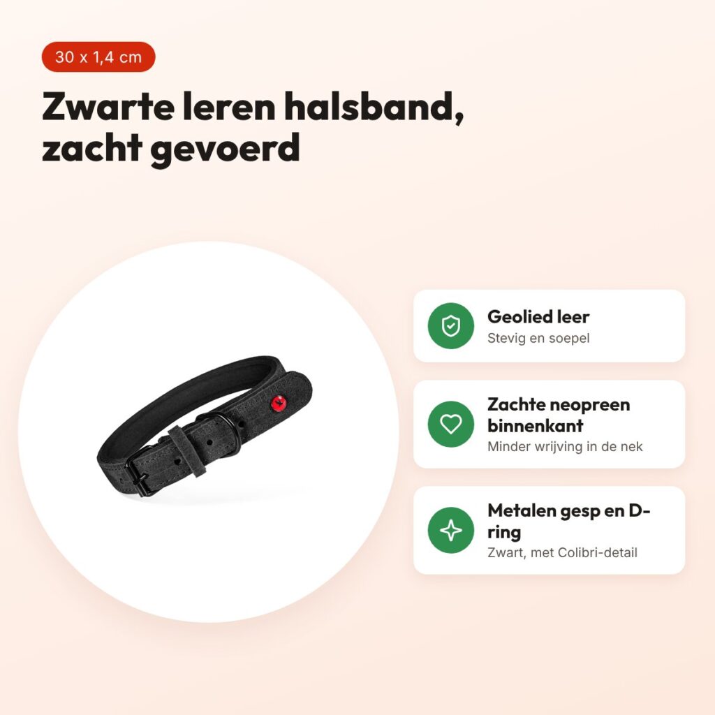 Zolux Expert halsband hond premium leer/neopreen zwart 30 x 1,4 cm – voordelen