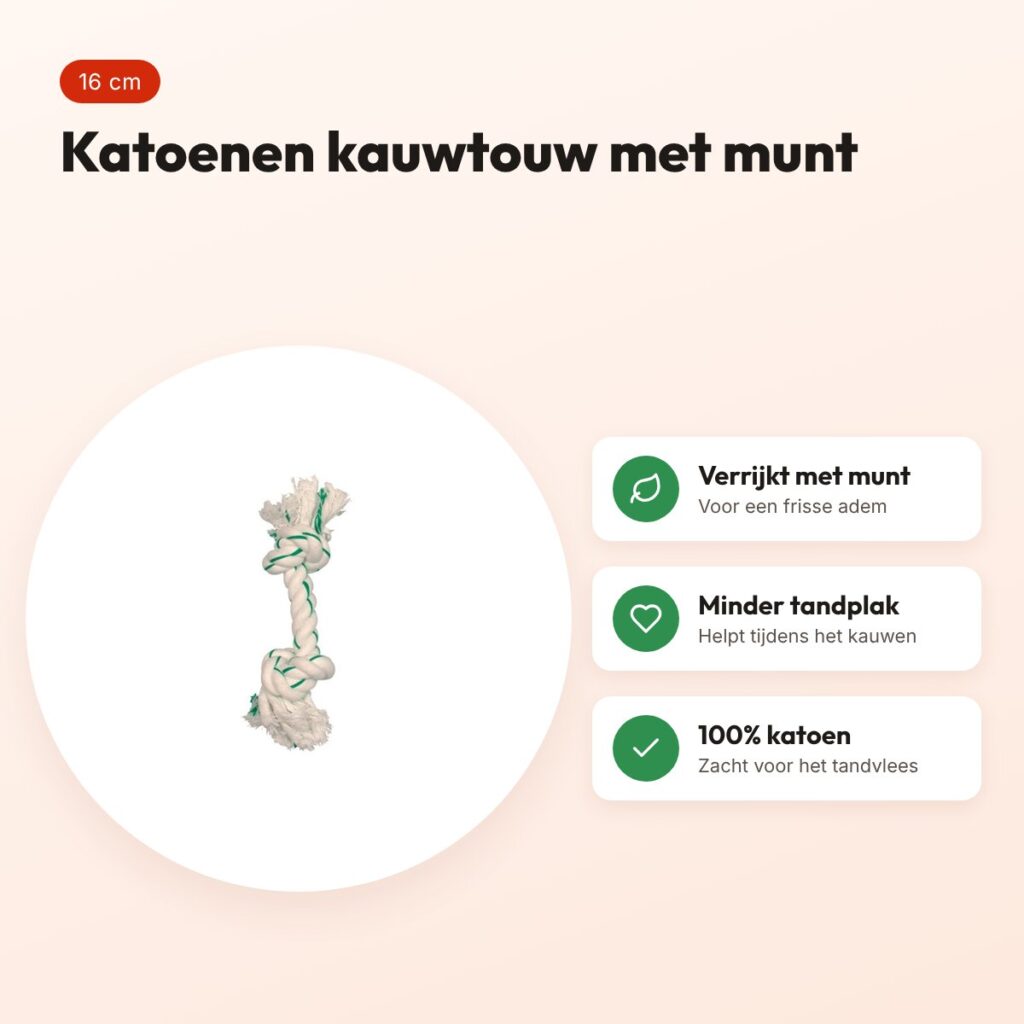 Zolux flostouw met muntsmaak 16 cm – katoenen kauwtouw voor honden – voordelen