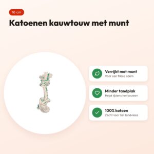 Zolux flostouw met muntsmaak 16 cm – katoenen kauwtouw voor honden – voordelen