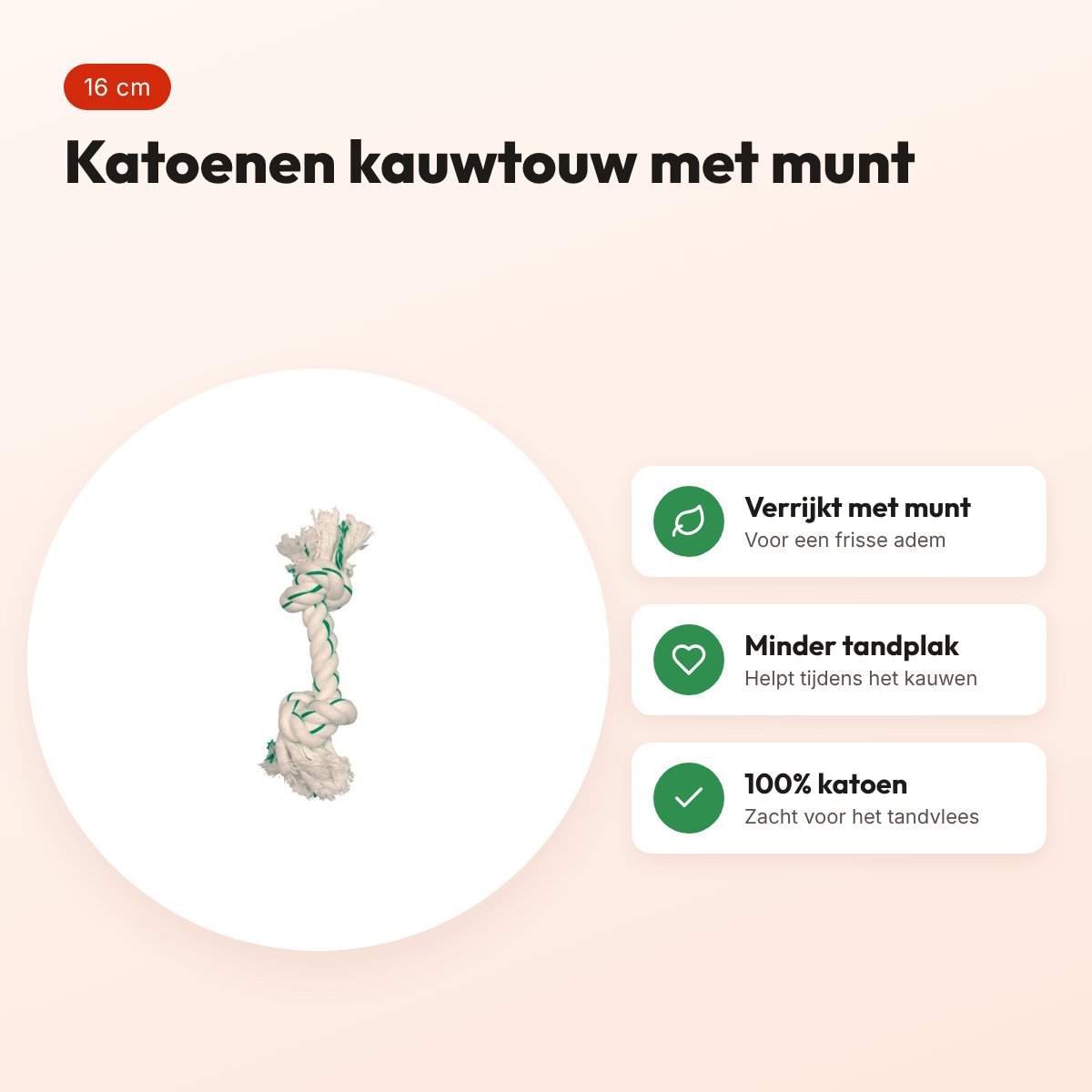 Zolux flostouw met muntsmaak 16 cm – katoenen kauwtouw voor honden – voordelen