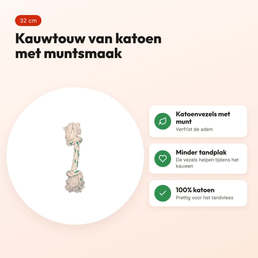 Zolux flostouw met muntsmaak 32 cm – katoenen kauwtouw voor honden – voordelen