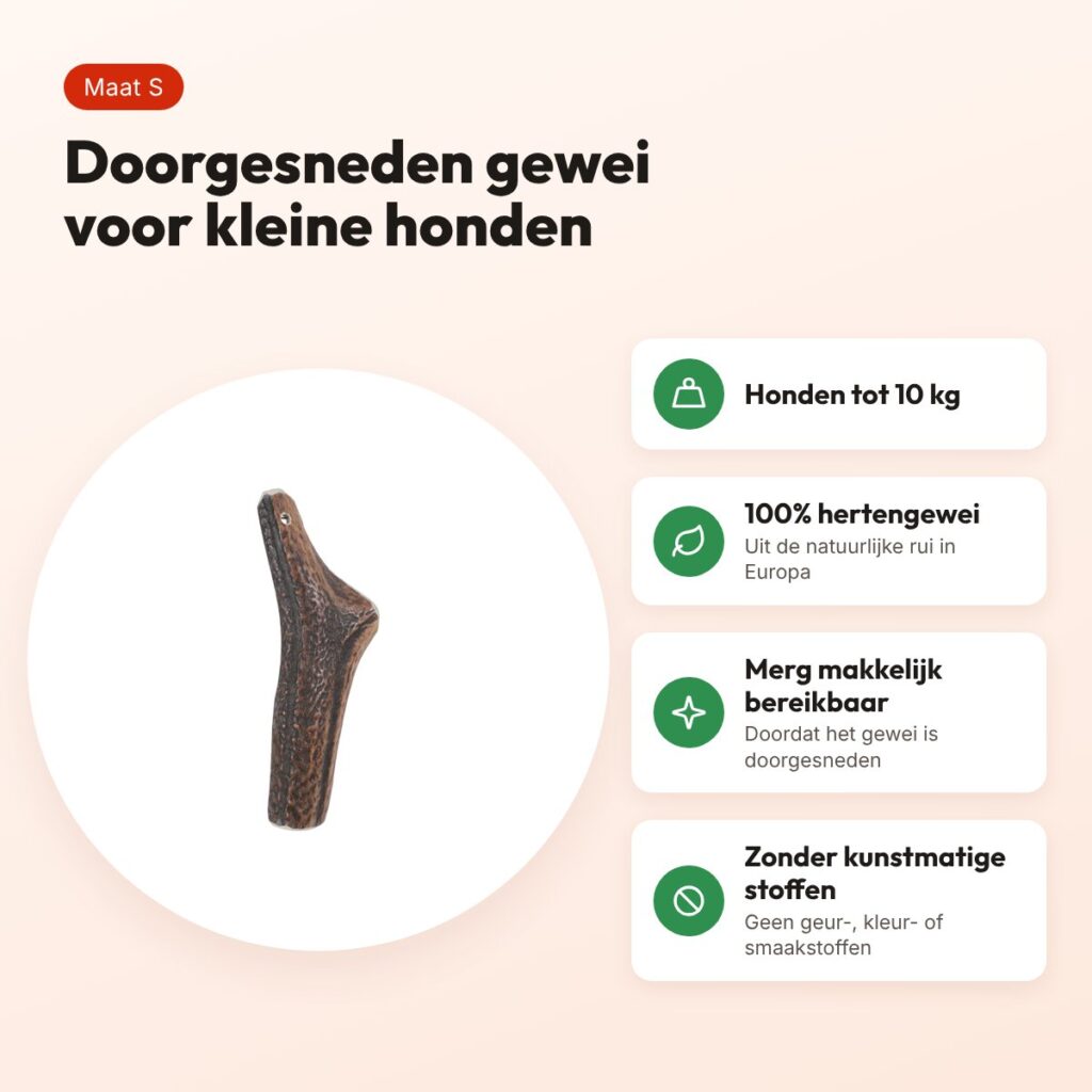 Zolux hertengewei Easy doorgesneden maat S – voor honden tot 10 kg – voordelen