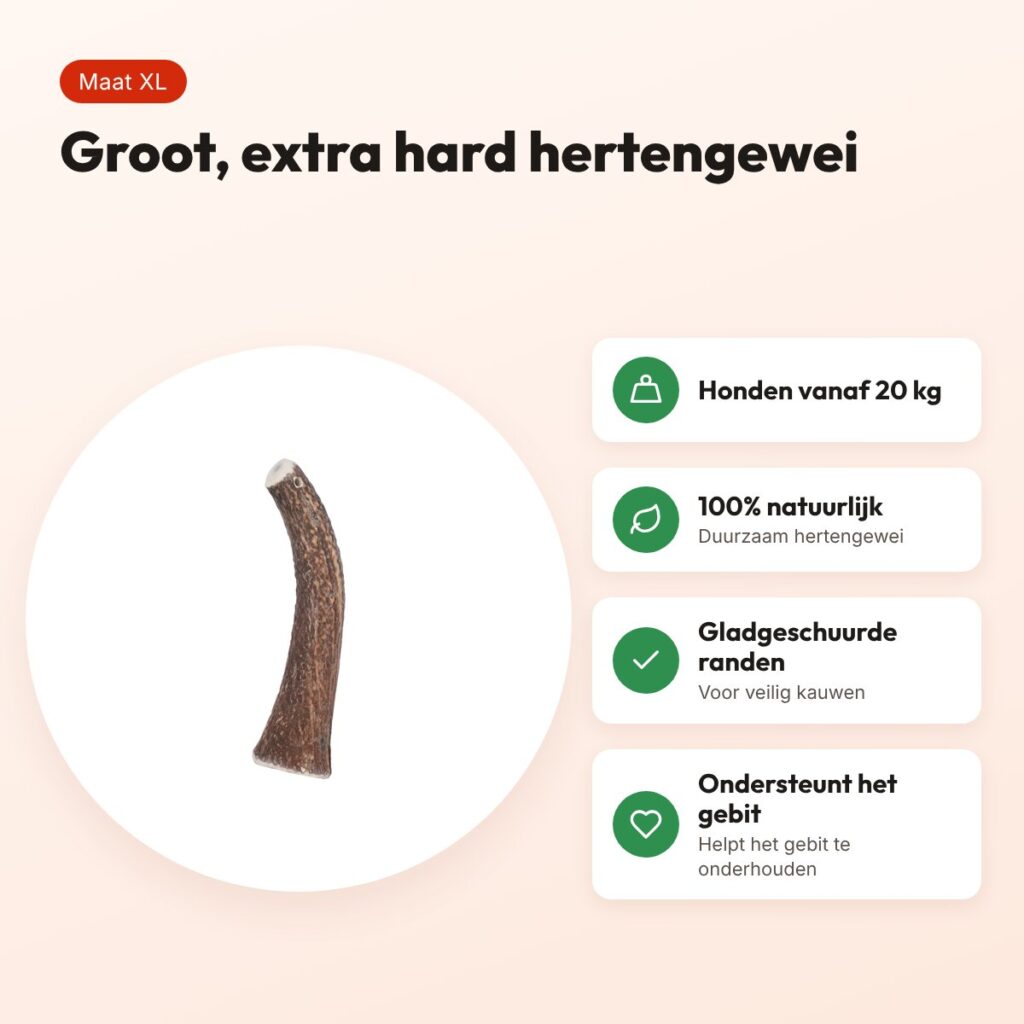 Zolux hertengewei Heel Hard maat XL – grote kauwsnack voor honden – voordelen