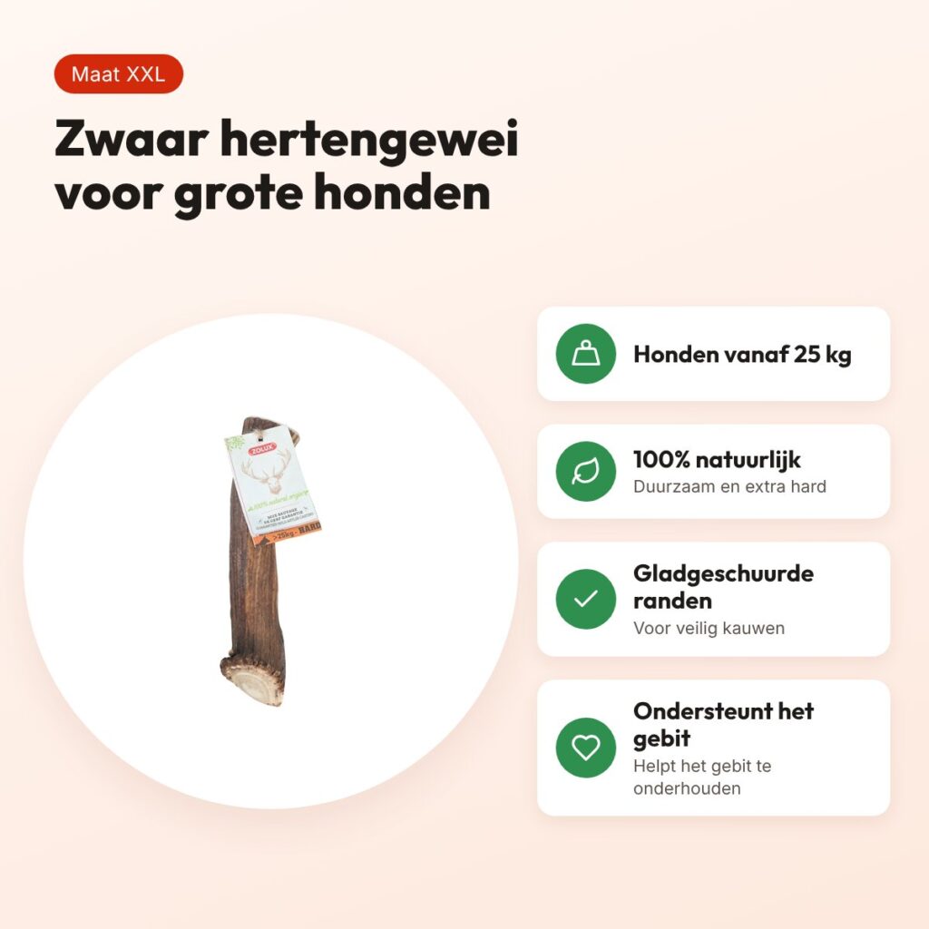 Zolux hertengewei Heel Hard maat XXL – voor honden vanaf 25 kg – voordelen