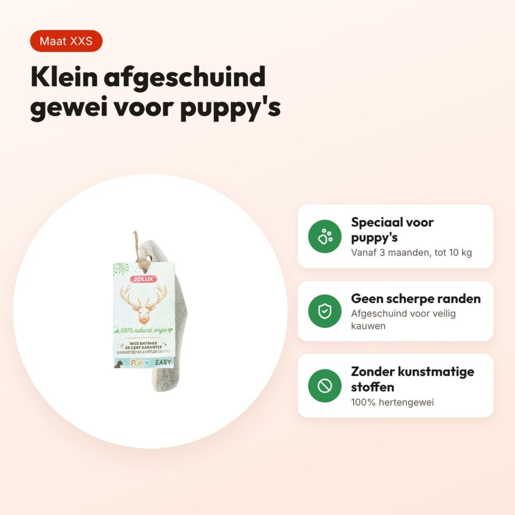 Zolux hertengewei Puppy Easy schuin gesneden maat XXS – voor puppy's – voordelen