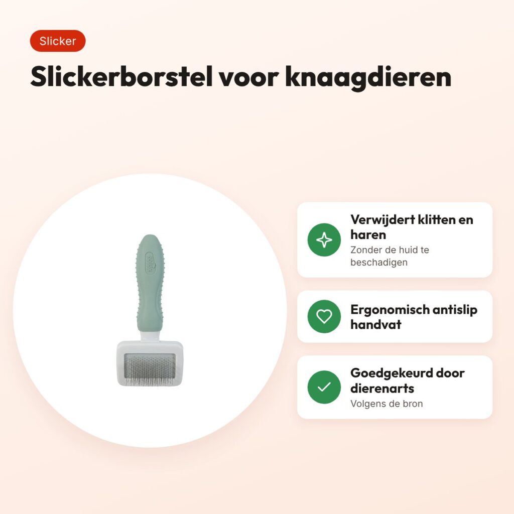Zolux slickerborstel voor knaagdieren 13,7 cm – ergonomisch – voordelen